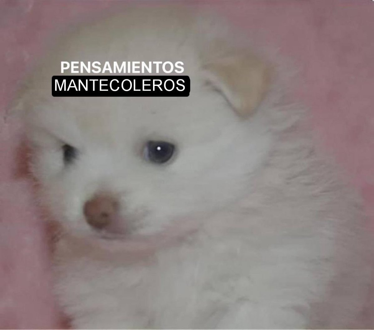 Yo de acá a fin de año