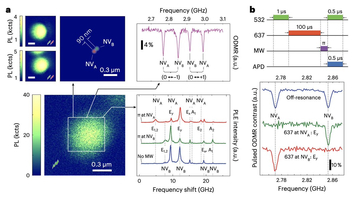 Meriles Lab tweet media