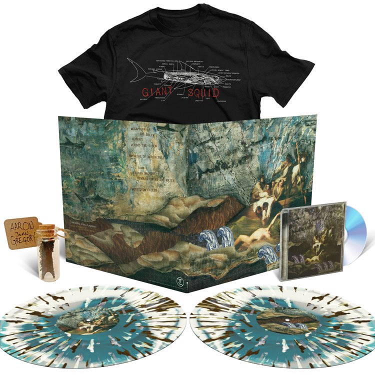 Translation Loss tweet media