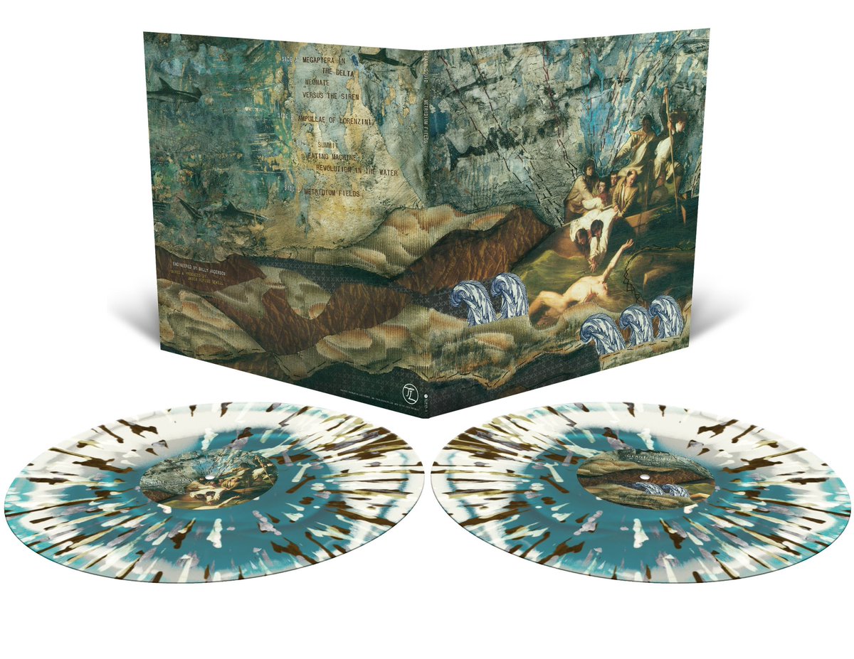 Translation Loss tweet media