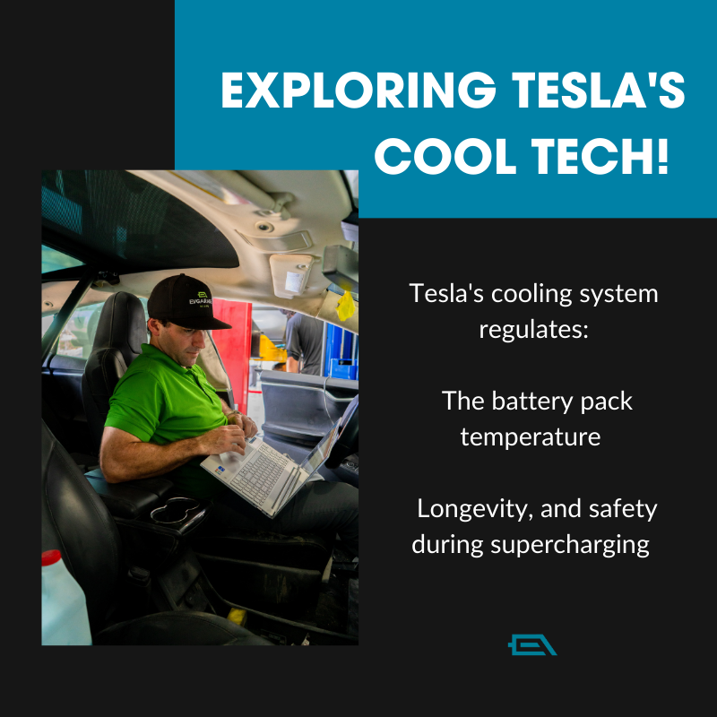 evgarage_'s tweet image. Delve into Tesla&apos;s engineering marvels! 🚗✨ Beyond the sleek design and groundbreaking tech, there&apos;s more to discover &apos;under the hood.&apos; 
What intrigues you most? 
#TeslaEngineering #InnovationUnveiled