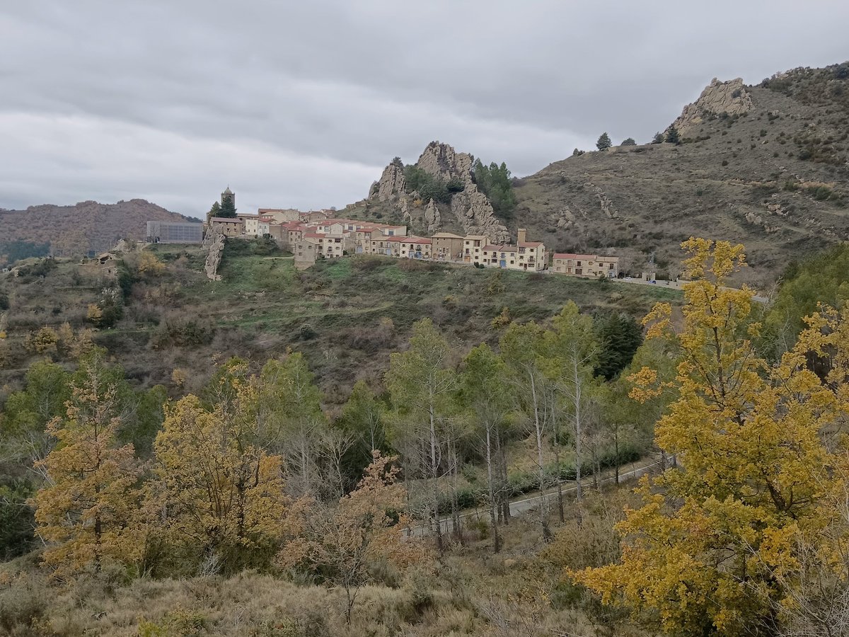 Ander Izagirre tweet media