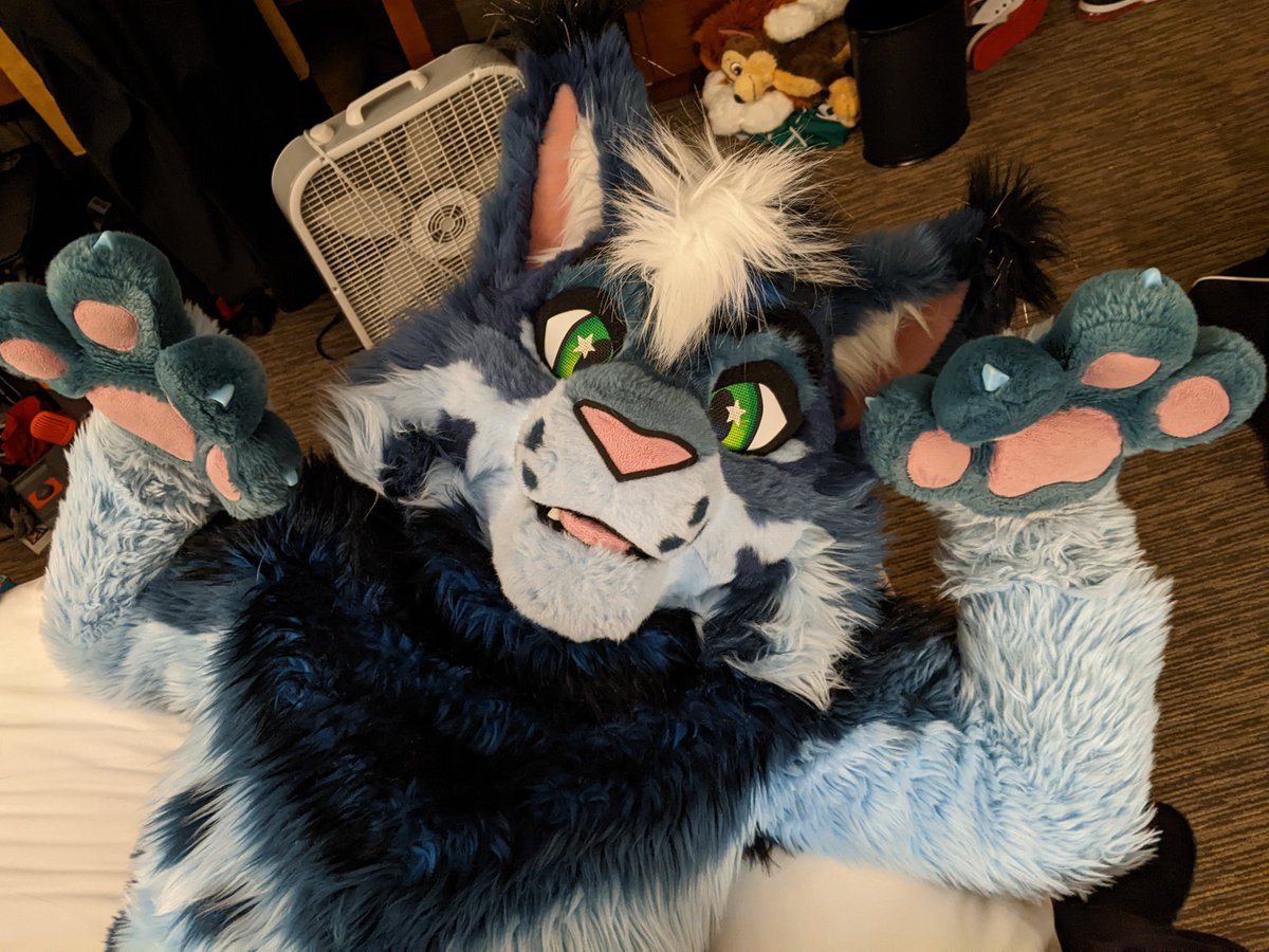 Meowwwwdy!  ^_^  I hope yer con was pawesum! 

📸  <a href="/Shenandoah09/">Shen ☺️✈️</a>