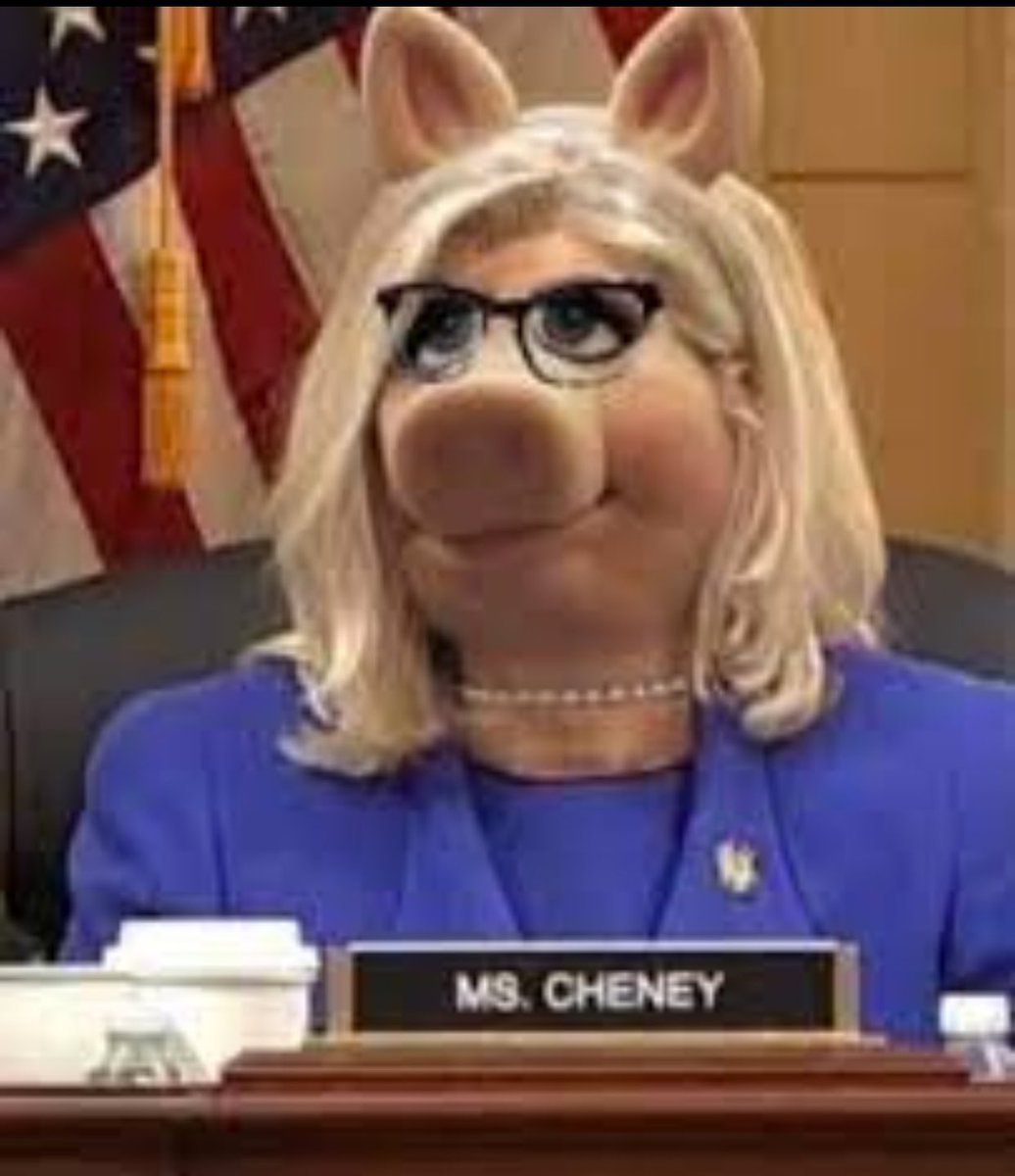 atensnut's tweet image. Liz is thinking about running for President. 

Whaddya think?   😂😂😂