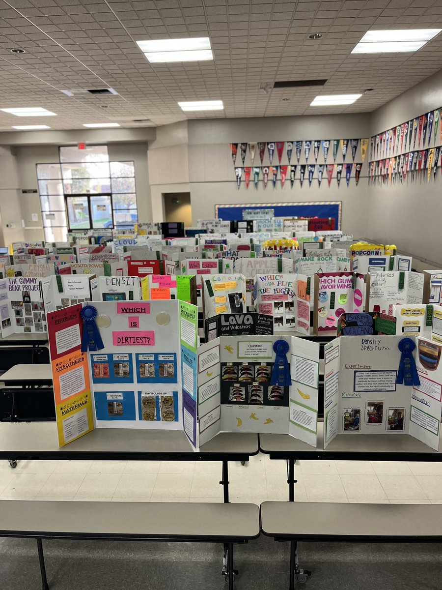 Loudon Elementary School tweet media