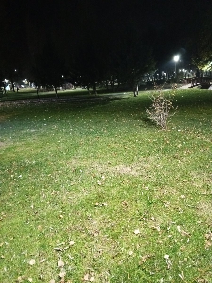 Ali aksaray (@aliaksaray87) on Twitter photo 