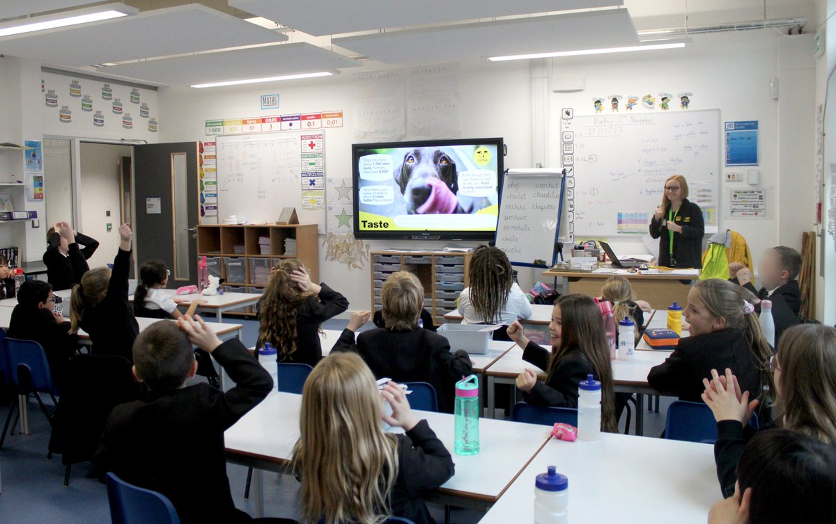 mayfieldschool's tweet image. Our Year 2 and 4 pupils had some fun and engaging workshops presented by the Dogs Trust! They learned all they needed to know about reading and understanding a dog's behaviour and emotions along with the best steps to preventing any potential harm between dogs and their owners.💛