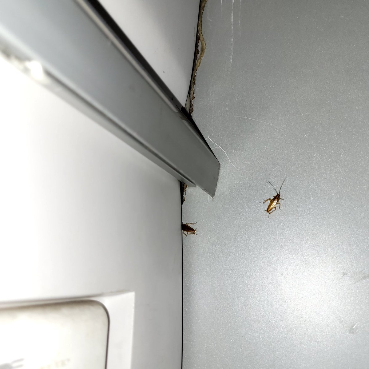 Nandkishor Joshi tweet media