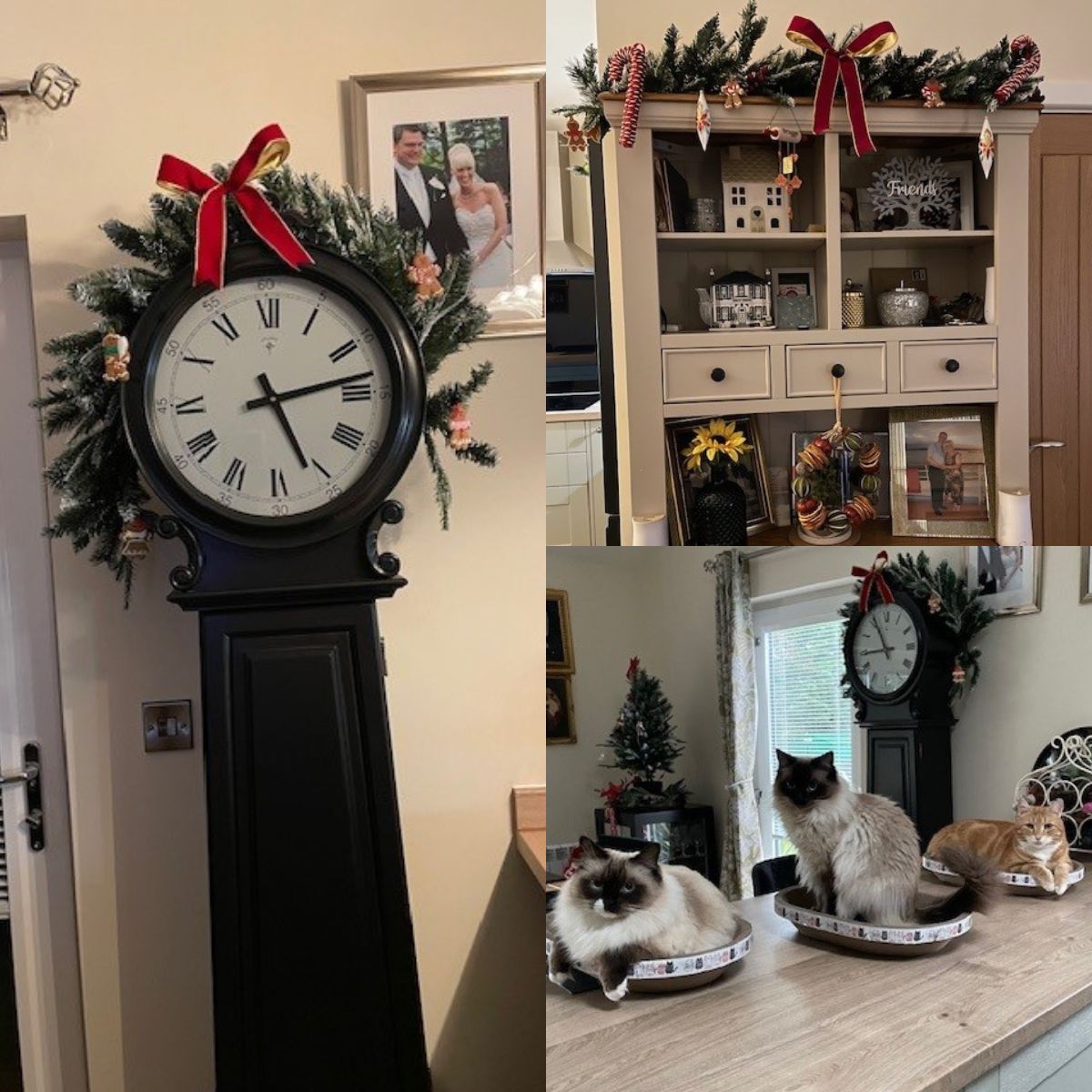 Now that the festive season is in full swing, we can’t help but revel in it! 🎅

Seeing the #Christmas decorations in our customer's annexes make them even more cosy than usual - can you guess our favourite picture? 😻

#annexe #gardenannexe #festive #christmasdecorations