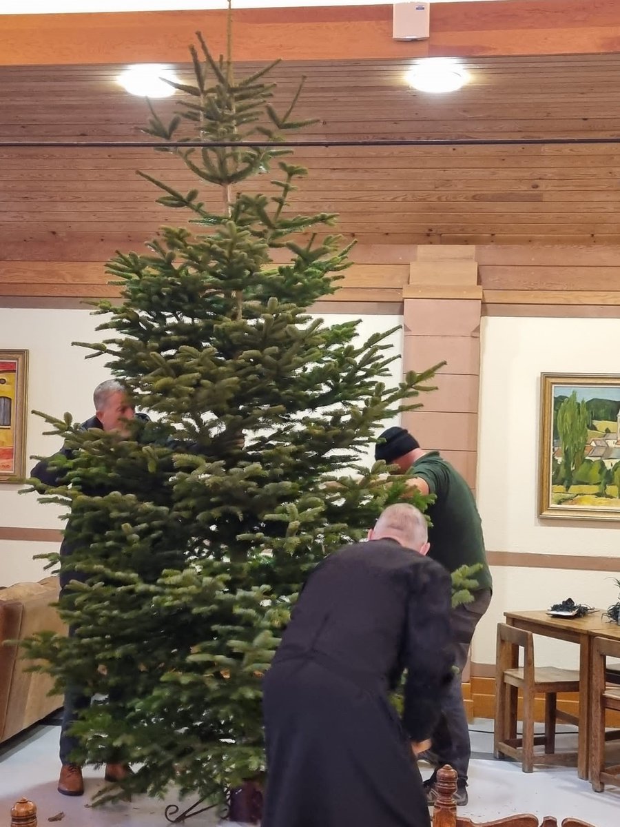 visitampleforth's tweet photo. Although the monastery tree doesn't come out until Christmas Eve, the one in the guest dining room is now up and ready to welcome retreatants over the coming weeks 🎄
#AmpleforthAbbey https://t.co/jsO6qNuuTV