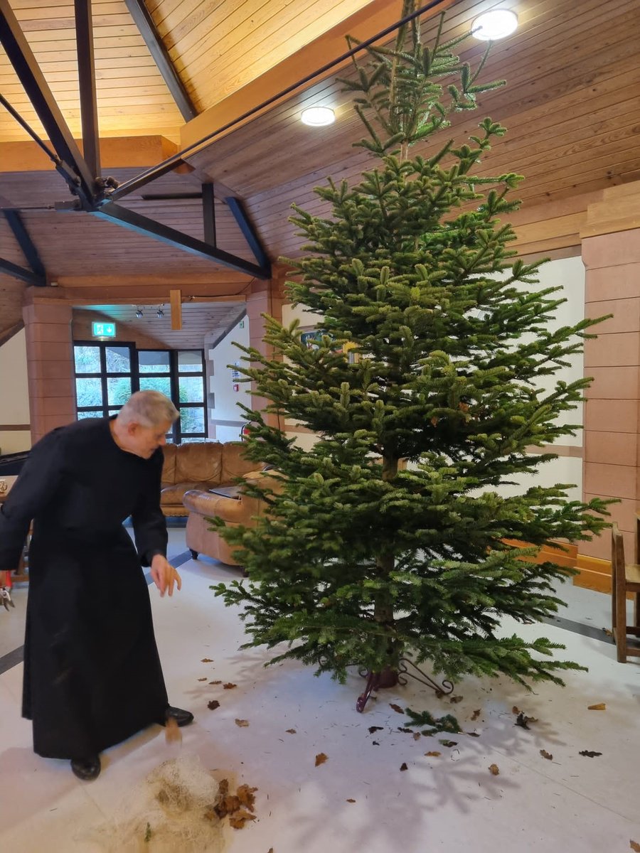 visitampleforth's tweet photo. Although the monastery tree doesn't come out until Christmas Eve, the one in the guest dining room is now up and ready to welcome retreatants over the coming weeks 🎄
#AmpleforthAbbey https://t.co/jsO6qNuuTV