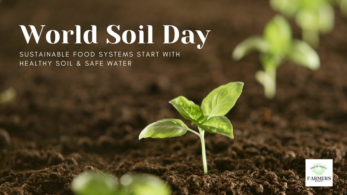 Sustainable food systems start with healthy soil &amp; safe water. #worldsoilday2023 #supportlocalfarmers
#onslowcounty #jacksonvillenc