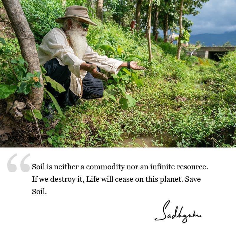 Today is World Soil Day! 🌍🪱

Learn more at SaveSoil.org 

#soilforclimateaction #savesoil