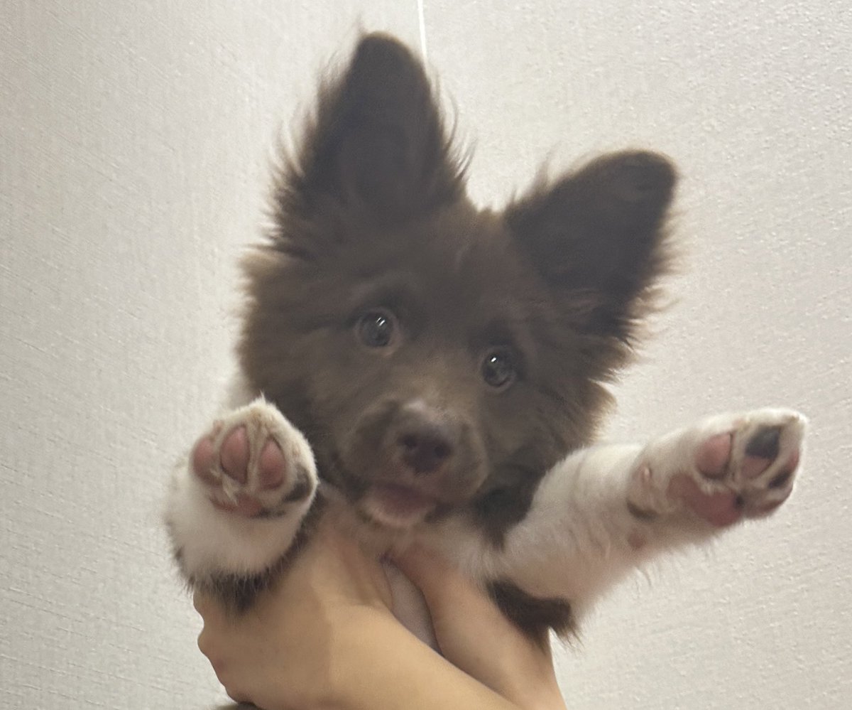 ㅇ _ㅇ?
