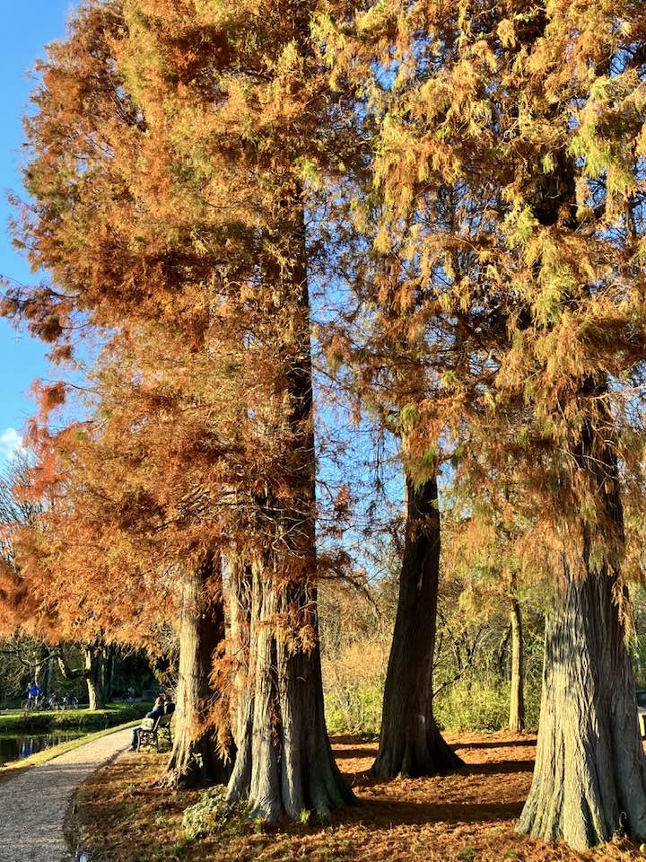 #Amsterdam #Vondelpark in #Autumn