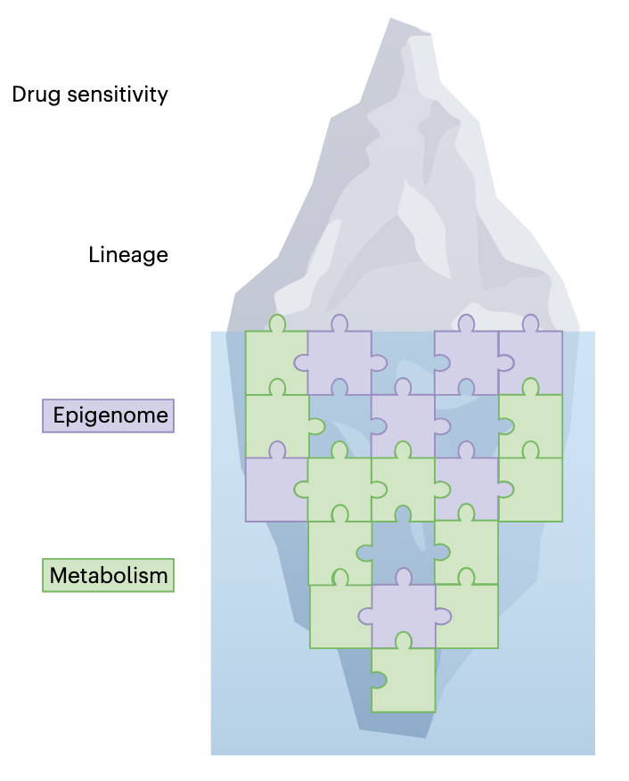 Andrew Goldstein tweet media