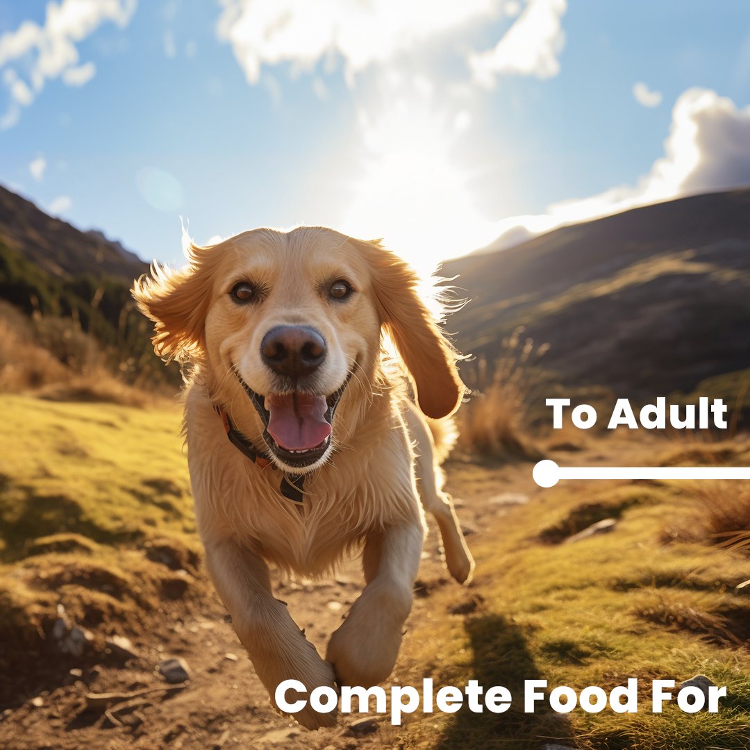 Clinivet Super Premium Nutrition tweet media