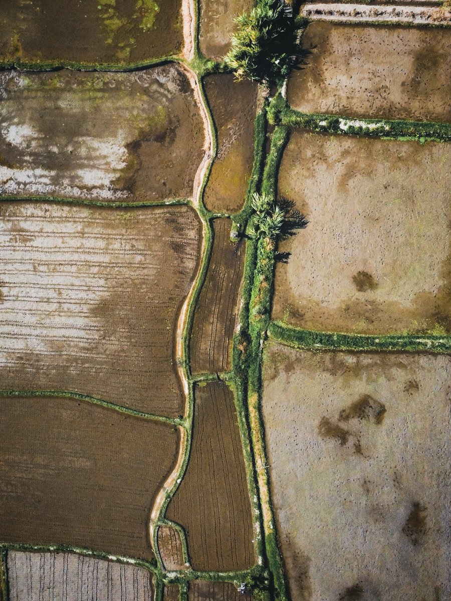 #Bali #Ubud #Indonesia

🌴