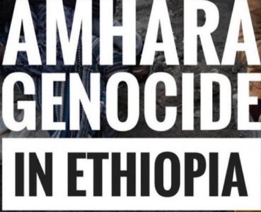 Rutta Alemu (@alemurutta) on Twitter photo The world cannot afford to be indifferent to the daily horrors faced by the Amhara in Ethiopia. The ongoing massacre demands immediate attention and action to stop the #AmharaGenocide. #WarOnAmhara
<a href="/RepJames/">Rep. John James</a> <a href="/RepSaraJacobs/">Congresswoman Sara Jacobs</a> <a href="/hrw/">Human Rights Watch</a> <a href="/UN/">United Nations</a> <a href="/AJEnglish/">Al Jazeera English</a> <a href="/amnestyusa/">Amnesty International USA</a> <a href="/antonioguterres/">António Guterres</a> The world cannot afford to be indifferent to the daily horrors faced by the Amhara in Ethiopia. The ongoing massacre demands immediate attention and action to stop the #AmharaGenocide. #WarOnAmhara
<a href="/RepJames/">Rep. John James</a> <a href="/RepSaraJacobs/">Congresswoman Sara Jacobs</a> <a href="/hrw/">Human Rights Watch</a> <a href="/UN/">United Nations</a> <a href="/AJEnglish/">Al Jazeera English</a> <a href="/amnestyusa/">Amnesty International USA</a> <a href="/antonioguterres/">António Guterres</a>