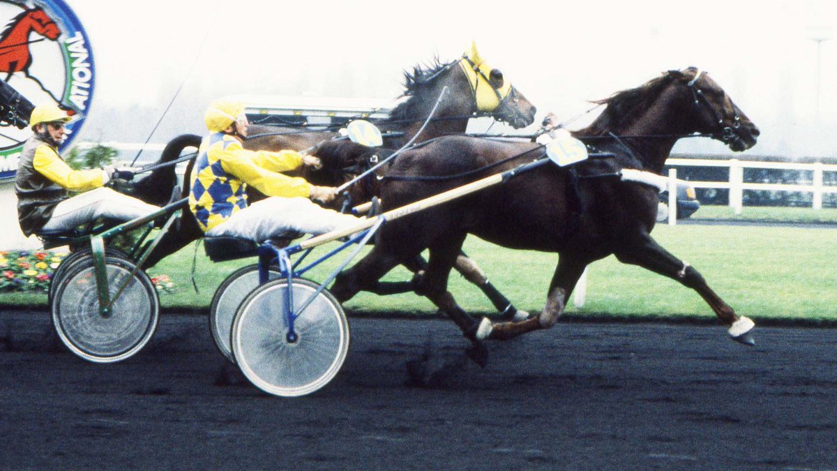 🔍 Ourasi, Ultra Ducal, Bold Eagle, les souvenirs des grands vainqueurs de légende dans le Prix du Bourbonnais - Amerique Races PMU Q#2 !
📲 Le détail : bit.ly/4a8aS7q