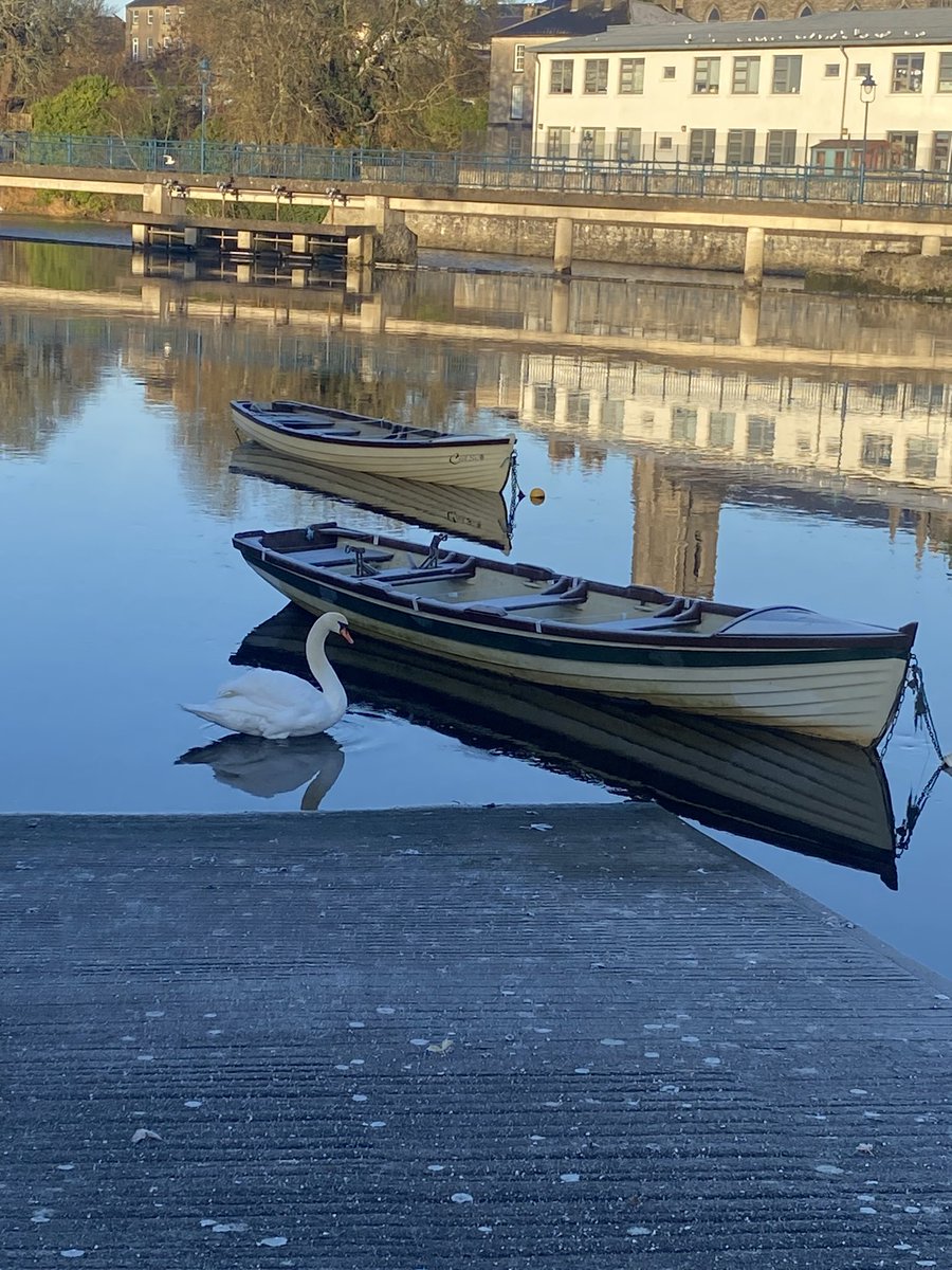jackiemcguin's tweet photo. Day 1800 🤩 of #1800daysofwalking @Mollkos we’ll need a new #!! Great morning for a milestone walk #365crew #nofilter https://t.co/MrSe5t9uxF