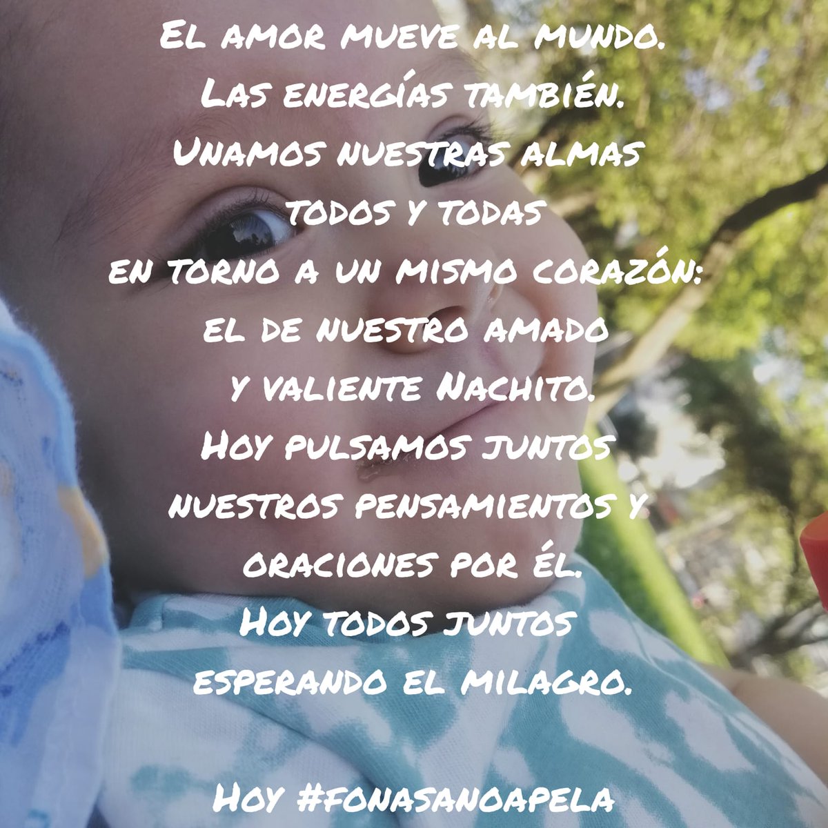 JuntosxNachito tweet media