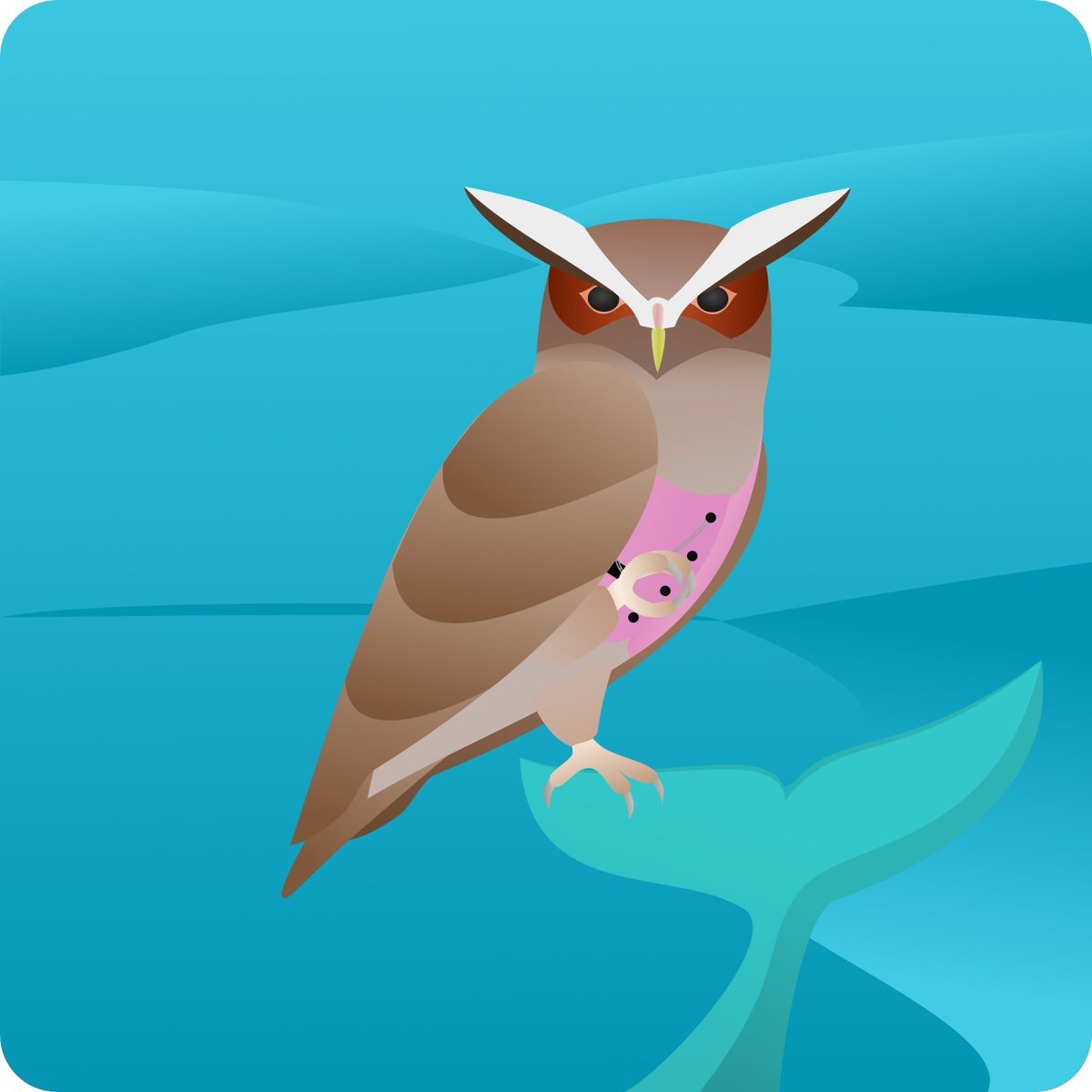 DapperRaptors's tweet image. Our second species for this season is the Crested Owl. A small owl of the jungles of Central and South America. They like to live by water but are usually not seen riding whales. 😅 As always there will be a tiny percentage with a rare color.
#NFTreveal #owl #digitalart