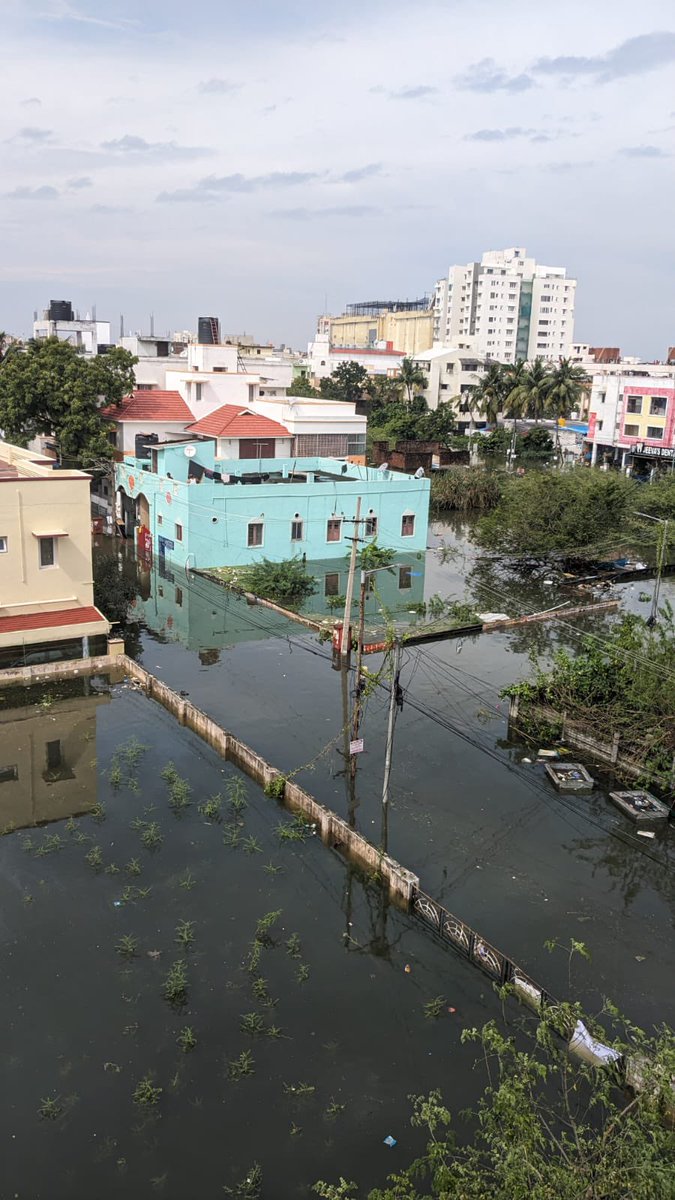 _abhinavvv's tweet photo. Hip level water and no sign of rescue or any relief activity yet in Bhuvaneshwari Nagar, Velachery. Lots of families are staying indoors. Looking for some help! 
 @Arvi_nth 
@chennaicorp @chennaipolice_ @newsofchennai  @Hassan_tnpyc
#ChennaiFloods #ChennaiRains #Michaungcyclone https://t.co/J55Tq9TMFI