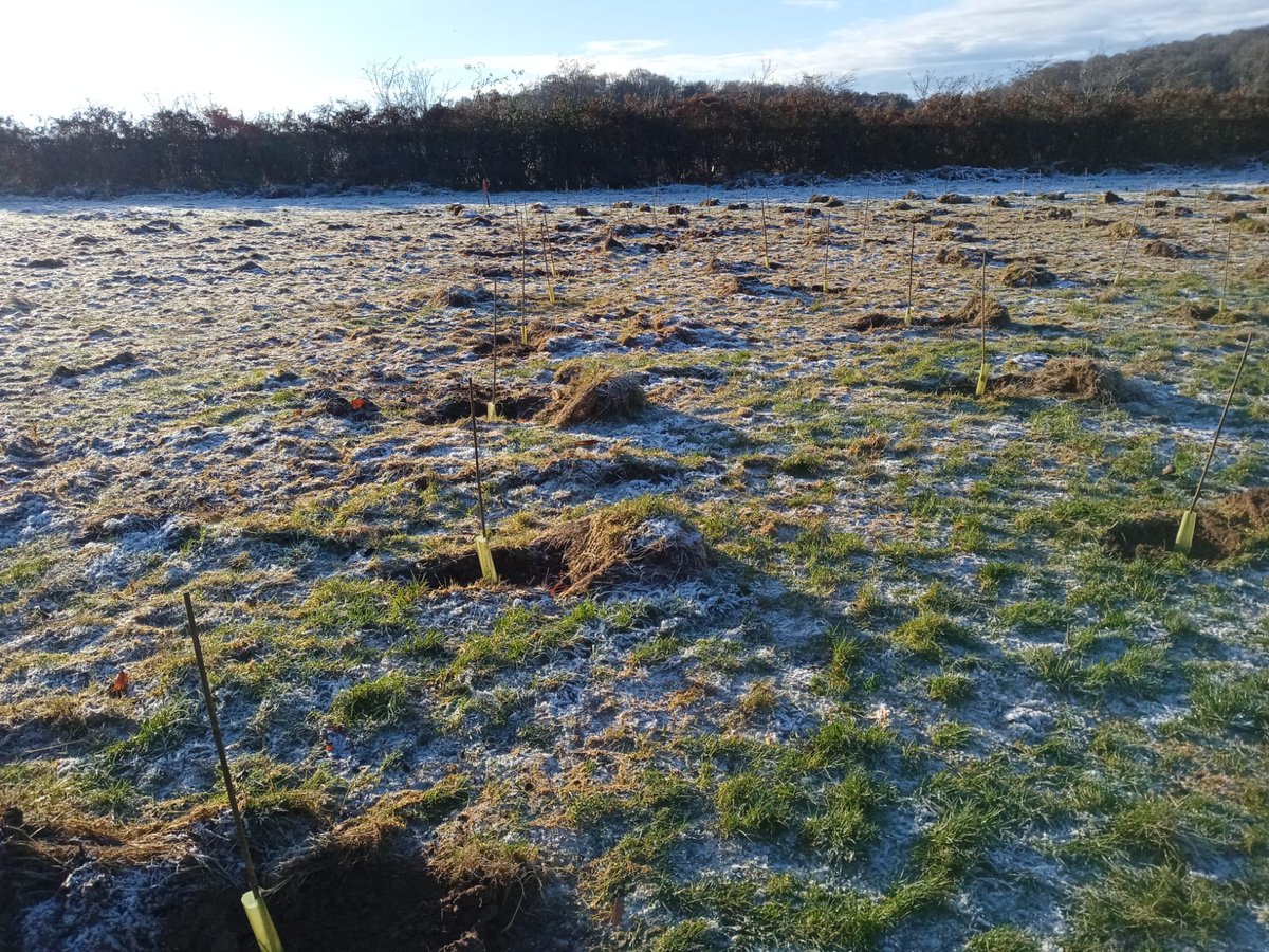 Wilder Things tweet media