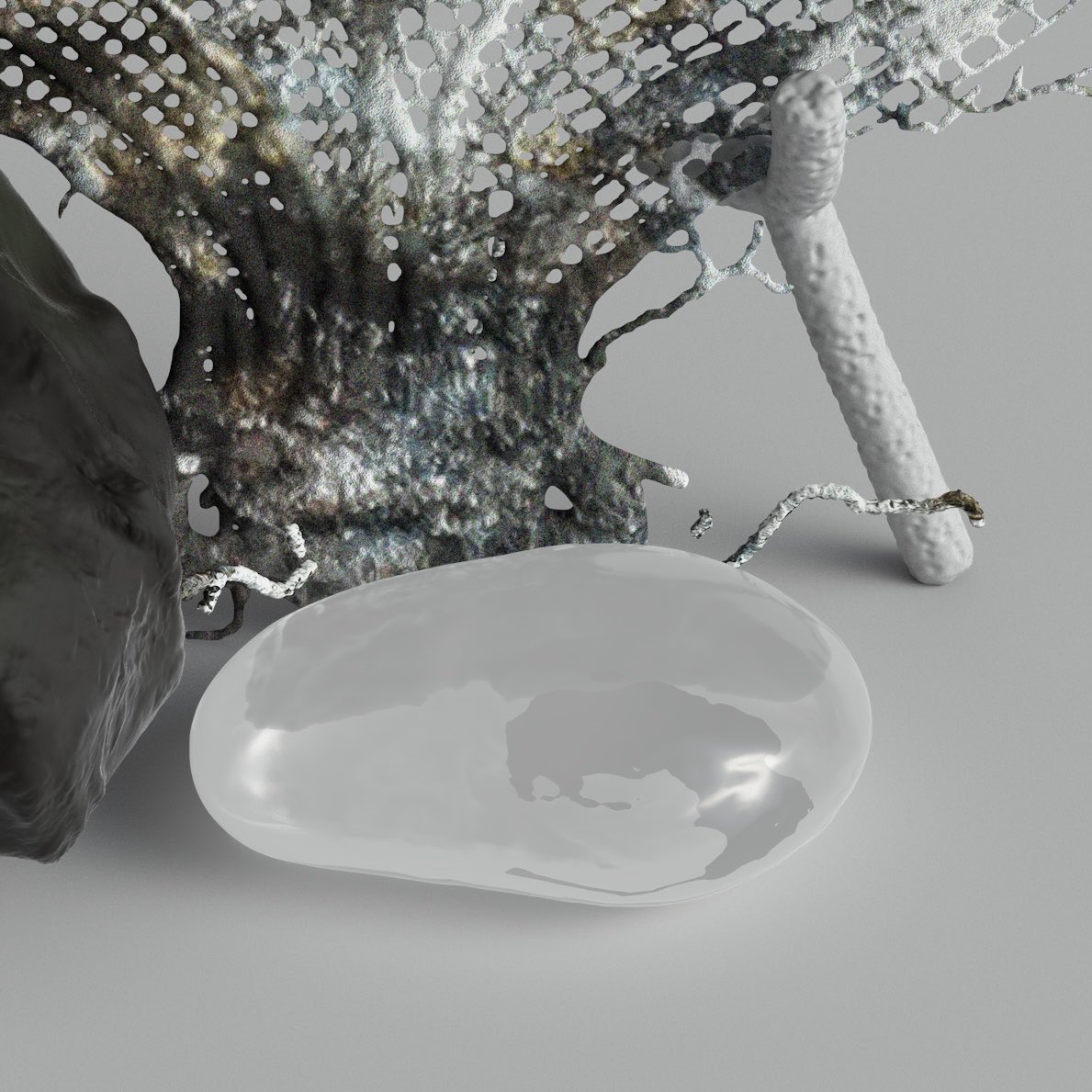 cardilard's tweet photo. the pale sea
#cinema4d #cinema4drender #phisycalrender #lightroom #simple #clean #sea #beach #rocks #ocean #nature #grey #green #white #progressiverender #QCQC • #cardilard https://t.co/e6ABY9bsSc