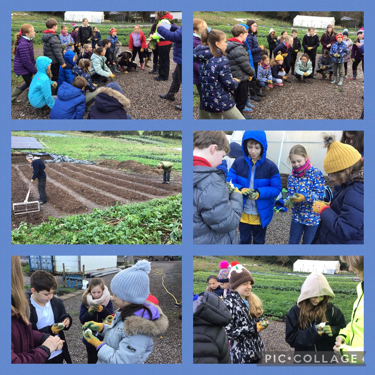 Osbaston Church in Wales School (@osbastonciw) on Twitter photo Diolch yn fawr to Catherine & David <a href="/LangtonsFarm/">Langtons Farm</a> for inviting us to see where some of the veg comes from for our school meals. We planted garlic, pulled carrots (& ate them of course!) & were gifted with leeks & potatoes to make our own soup <a href="/castellhowell/">Castell Howell Foods</a> <a href="/sizeofwales/">Size of Wales | Maint Cymru</a> Diolch yn fawr to Catherine & David <a href="/LangtonsFarm/">Langtons Farm</a> for inviting us to see where some of the veg comes from for our school meals. We planted garlic, pulled carrots (& ate them of course!) & were gifted with leeks & potatoes to make our own soup <a href="/castellhowell/">Castell Howell Foods</a> <a href="/sizeofwales/">Size of Wales | Maint Cymru</a>