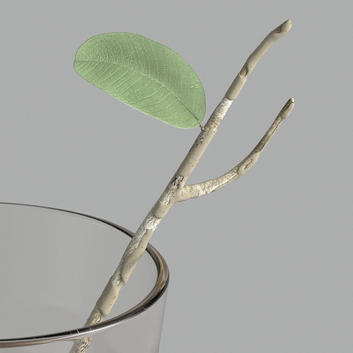 cardilard's tweet photo. guava tea
#cinema4d #cinema4drender #phisycalrender #lightroom #simple #clean #tea #guayaba #glass #stick #white #progressiverender #QCQC • #cardilard https://t.co/oYA6o90Otz