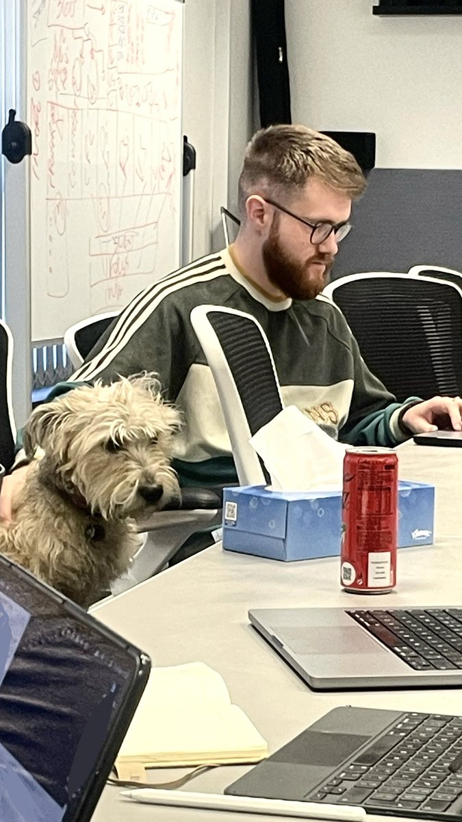 ineqegroup's tweet photo. Today, Maggie was assisting Scott (her favourite) in a project update meeting for one of our Safeguarding Apps. #Educate #Empower #PAWtect https://t.co/mnm7VQDRjq
