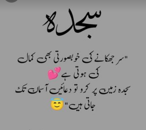 Sajda😇😇😇🥰
#Perletti 
#ChennaiFloods 
#GTA6trailer 
#хтивийпонеділок 
#tuesdayvibe