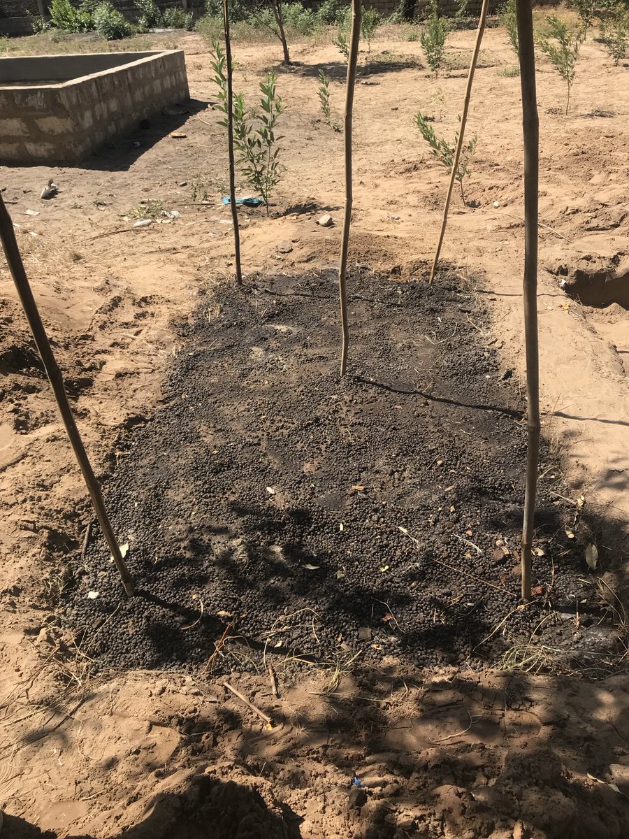 #worldSoilday préserver le sol pour les générations futures #soil #agroecologie