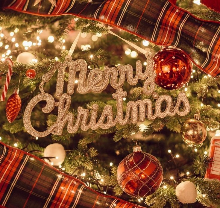 🏳️⚧️ Transos🎗️ (500!!) tweet media