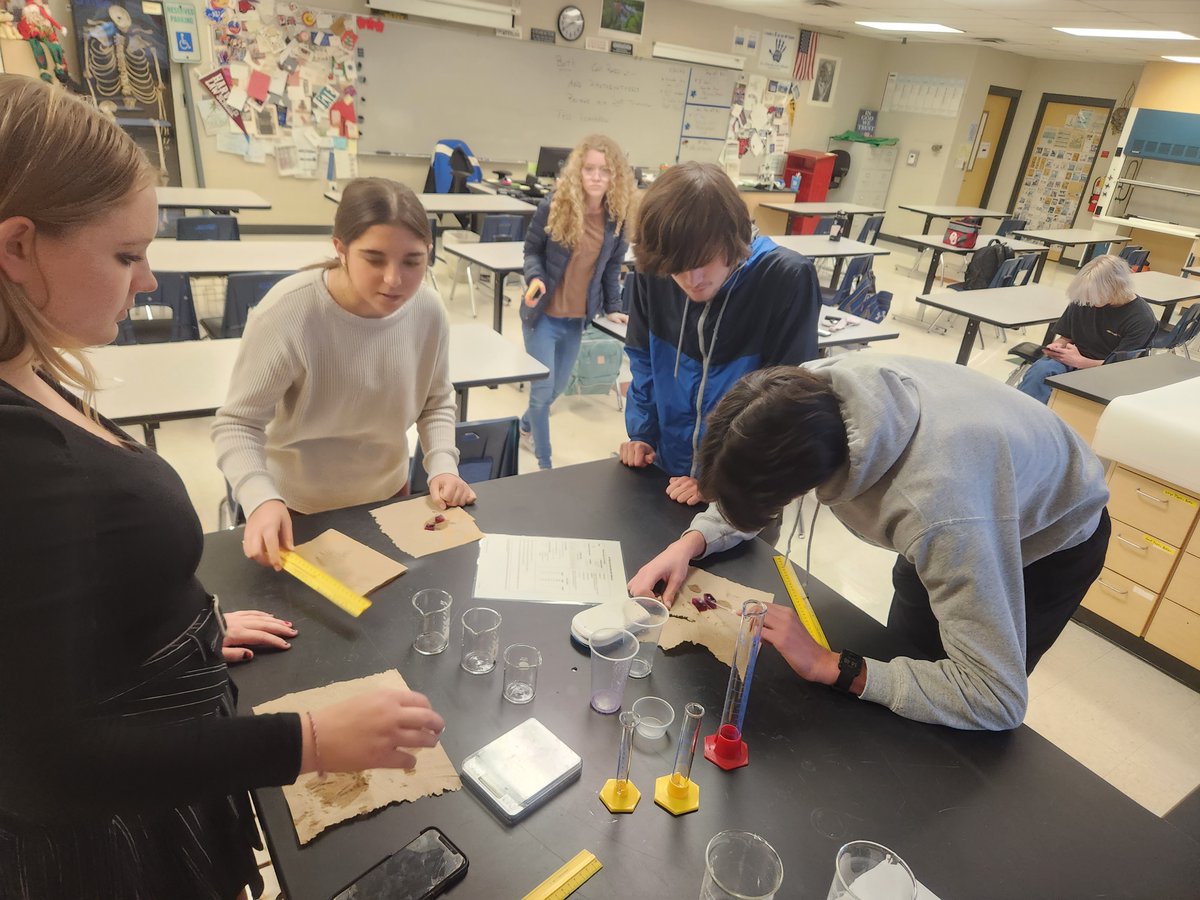 RHSMounties's tweet photo. Mr. Pate's AP Bio class continues their osmosis/diffusion inquiry lab.
#InquiringMinds #APBioROCKS https://t.co/H6p3REOc5n
