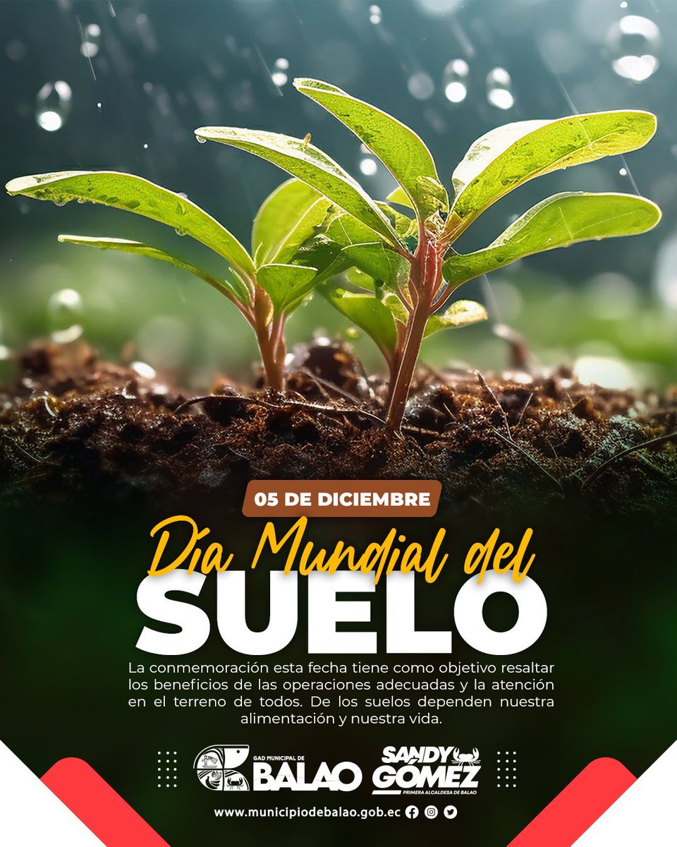 SandyGm33's tweet photo. Celebrando el Día Mundial del Suelo 🌱

Hoy, en el Día Mundial del Suelo, reflexionamos sobre la importancia crucial de este recurso. Cada acción cuenta para preservar y cuidar nuestro suelo, contribuyendo así a un planeta más saludable y sostenible.  🌱💚 

#DíaMundialDelSuelo https://t.co/frVYfJGfF7