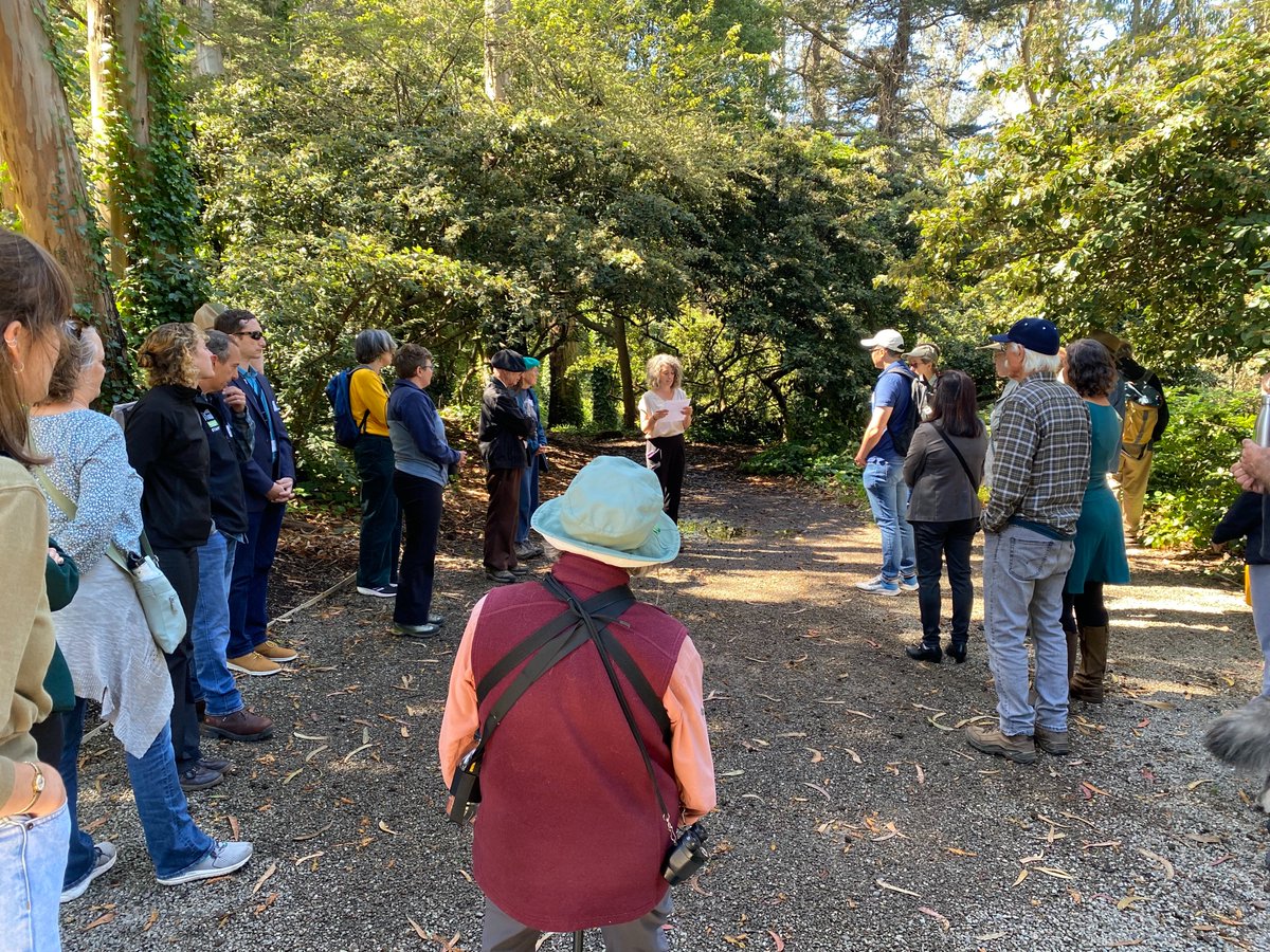 A small group from UCSF Facilities and Sustainability recently participated in a re-envisioning workshop aimed at restoring Woodland Canyon Creek at Mount Sutro. bit.ly/3GxmO4Z