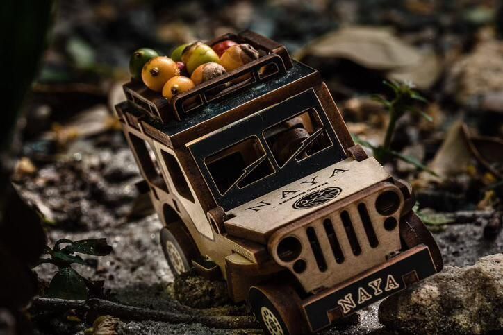 🚚☕ Steeped in Tradition: This replica truck mirrors the classic vehicles that journeyed from farm to station, delivering the finest beans for Naya Premium Coffee. A nod to our roots in every sip! 

Start your journey here 👉 buff.ly/47nT3yS 

#NayaCoffee #FromFarmToCup