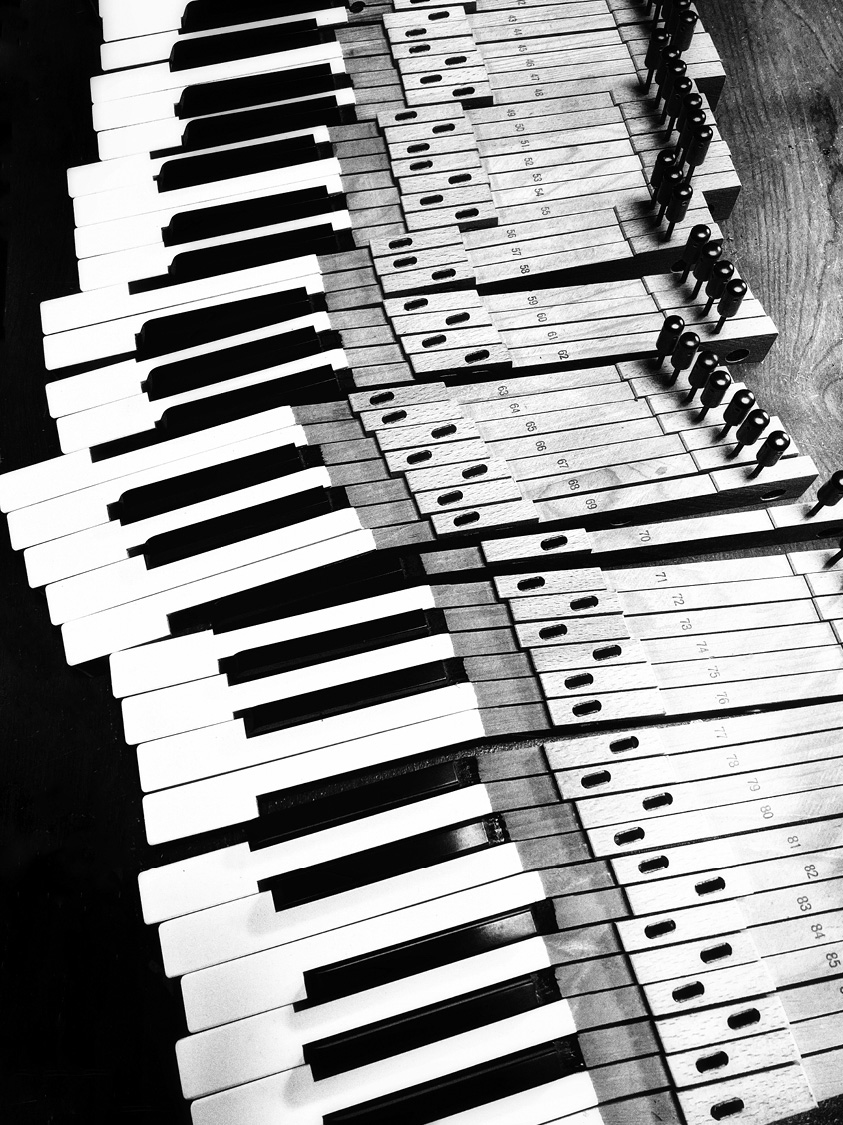 oxfordamerican's tweet image. “Cosmic moments of human connection fill these pages.” – @solopat in “Prologue: Cigarette Smoke and Magic” from the #BalladsIssue, on newsstands today! You can read  #Issue123 online now: oxfordamerican.org/magazine/issue…

Image by Cara Weston. Courtesy the artist.