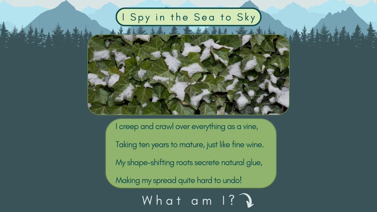 Sea To Sky Invasives tweet media