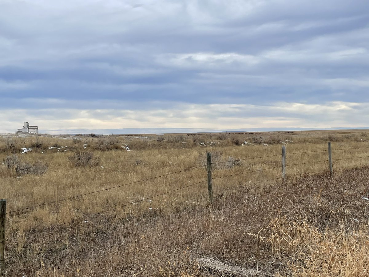 Not sure you call it a Chinook when we haven’t had any cold weather yet.  But #swSask is feeling very mild today!