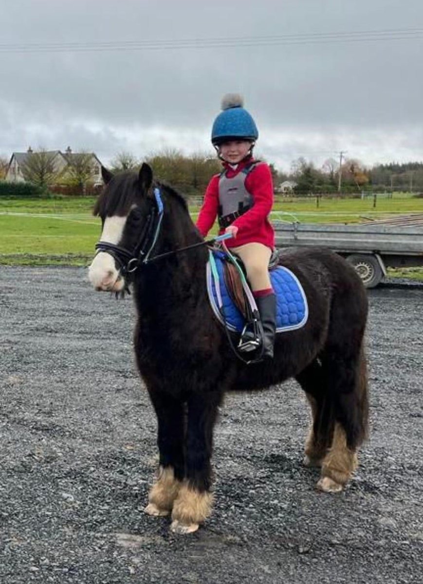 MLHR Ollie & his best friend Alice! Ollie came into our care as a yearling that we rescued from the horse pound. During the summer, he was trained in Abbeyleix House & Farm. They did an incredible job with him! He’s an absolute superstar & we’re so proud of him. 🤗