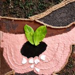 Photo by Save Soil - a global exhibition (@exhibitSaveSoil)