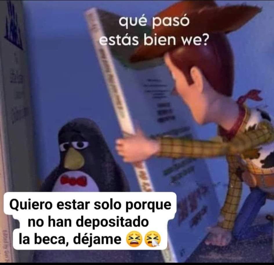 Estefania Licea tweet media