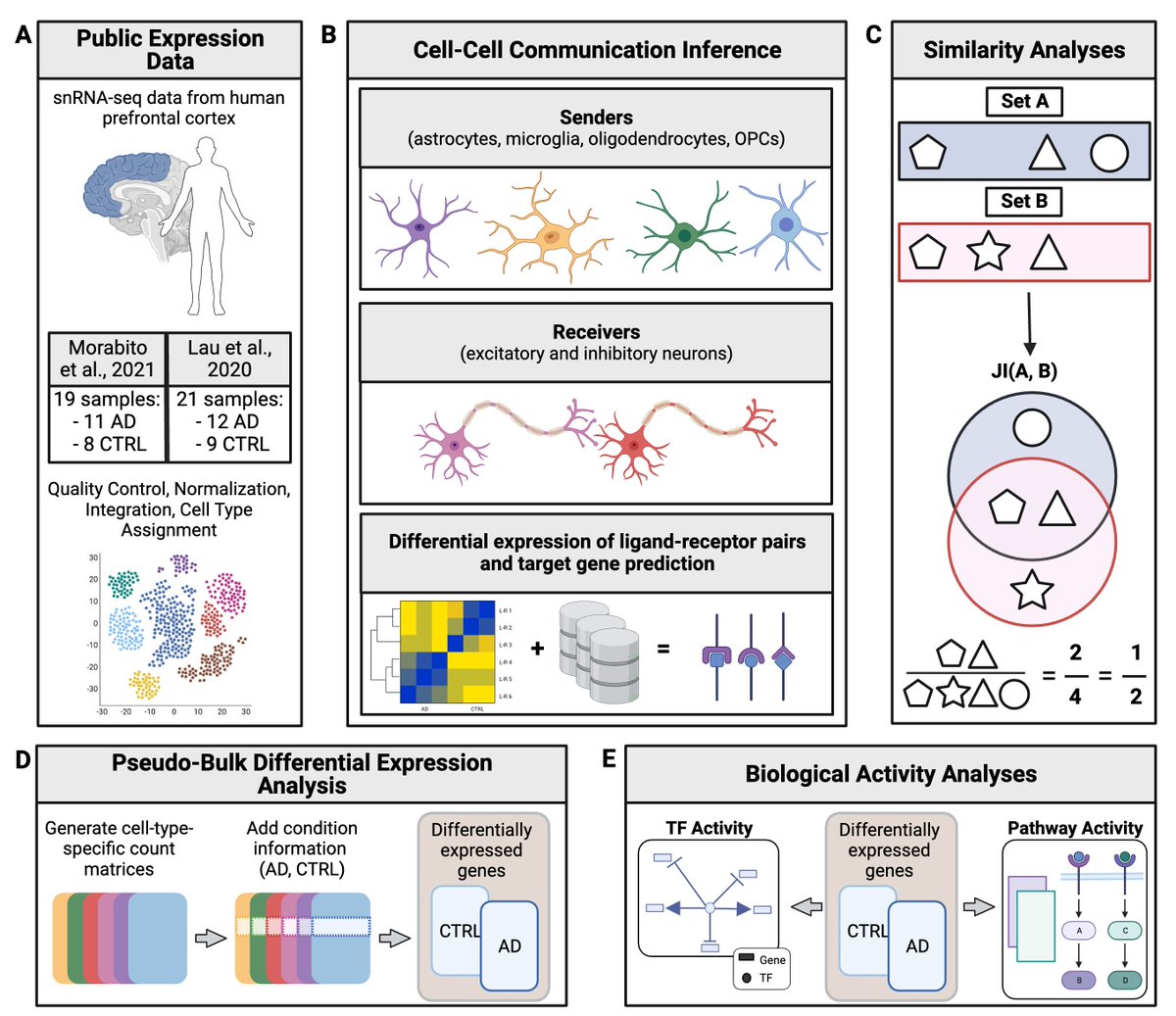 Tabea Soelter tweet media