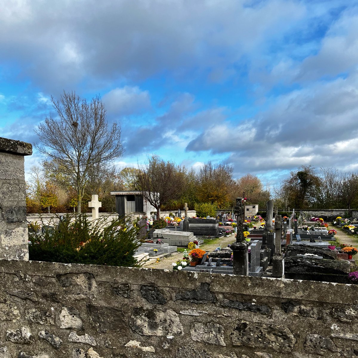 Stella Schalamon tweet media