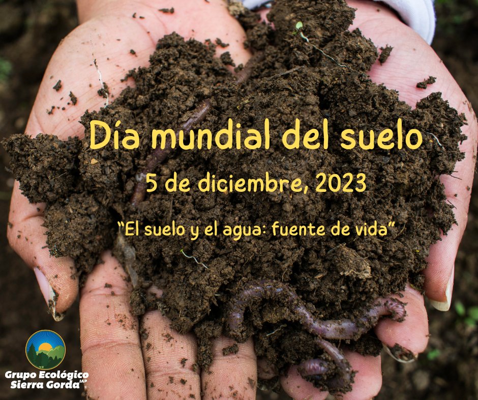 📌 GESG, en su área de Bosque y Suelo, impulsa actividades para fortalecer a los productores agrícolas, enfocados en agricultura regenerativa. Enseñamos el valor y promovemos prácticas sin químicos. Juntos, cultivamos de manera sostenible. 🌱 #diamundialdelsuelo