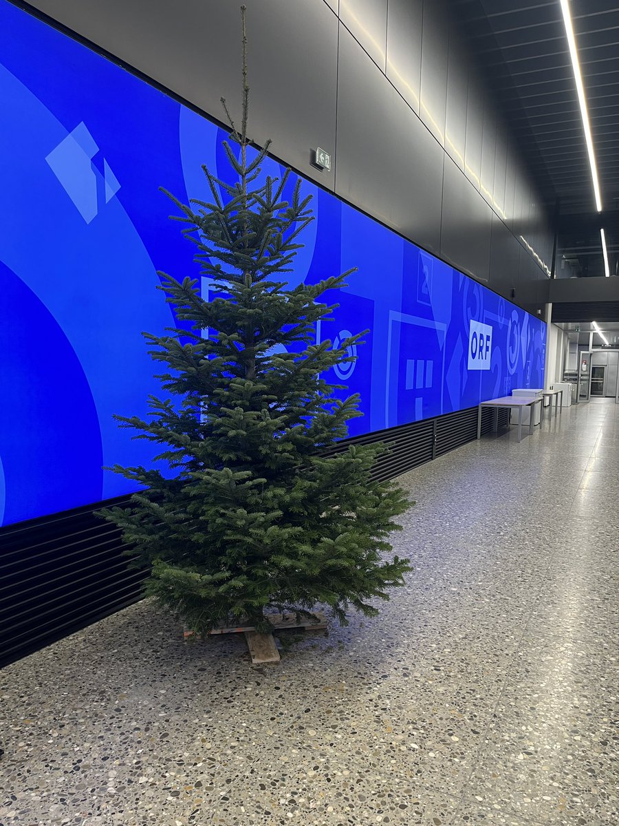 Der ORF-Christbaum schreit nach Schmuck! Liebe Kolleg:innen, ich denke wir sollten ihm diesen Wunsch erfüllen. :)
